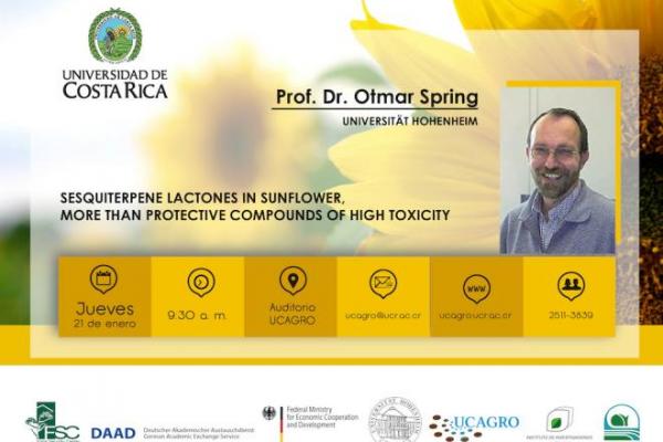 Sesquiterpene lactones in sunflower, more than protective compound of high toxicity